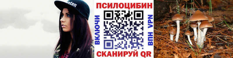 Псилоцибиновые грибы Cubensis  Чегем 